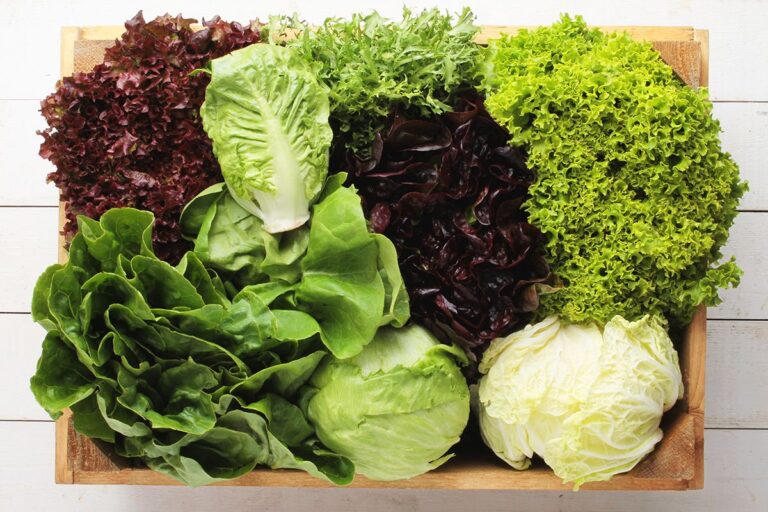 «Δυόσμος και Μαρούλι σε έλλειψη την τρέχουσα εβδομάδα»