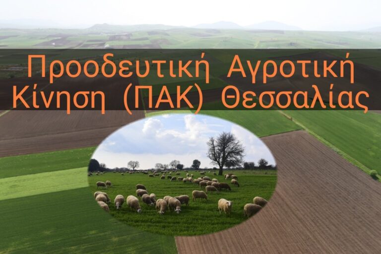 ΠΑΚ Θεσσαλίας: Απώλειες επιδοτήσεων μέχρι και πάνω από 69% με τη νέα ΚΑΠ για τους Θεσσαλούς αγρότες