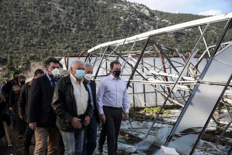 Επίσκεψη Λιβανού σε θερμοκηπιακές καλλιέργειες στον Μαραθώνα