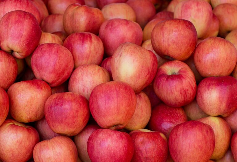 Εορδαία: Δυσαρεστημένοι οι μηλοπαραγωγοί για τη μη καταβολή των αποζημιώσεων