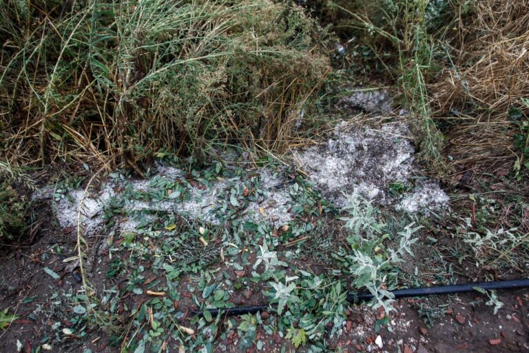 Αργολίδα: Συγκέντρωση παραγωγών για αποκλεισμό από αποζημιώσεις Ιανουαρίου