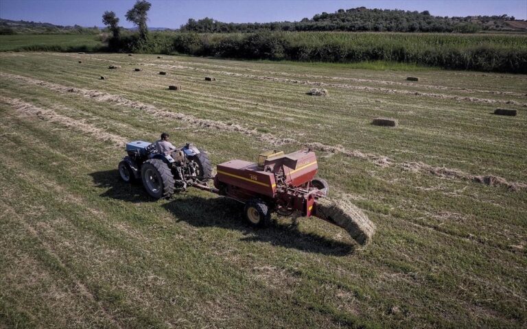 Οριζόντιες περικοπές βασικής ενίσχυσης 2,5% – Βαρύτητα στο εθνικό απόθεμα δικαιωμάτων του 2022