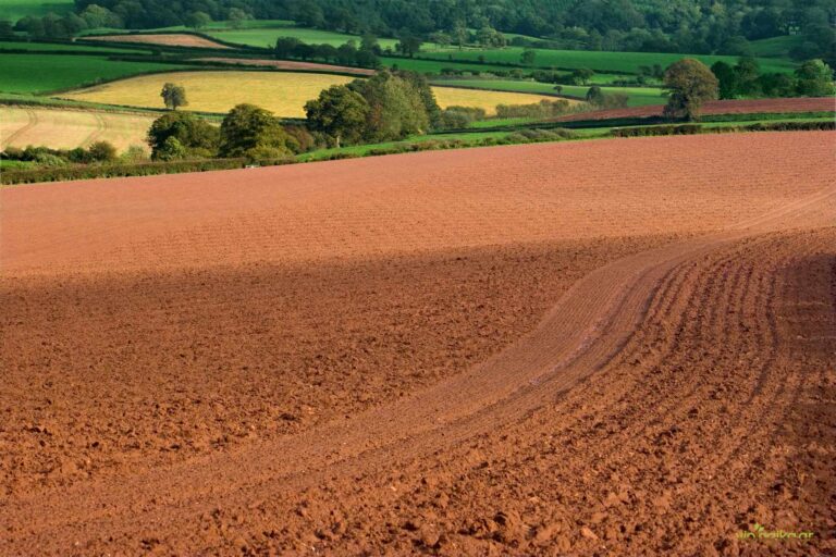 Απαλλαγή από την υποχρέωση της αγρανάπαυσης – Τι προβλέπει η απόφαση της ΕΕ  που αφορά 127.232 γεωργούς