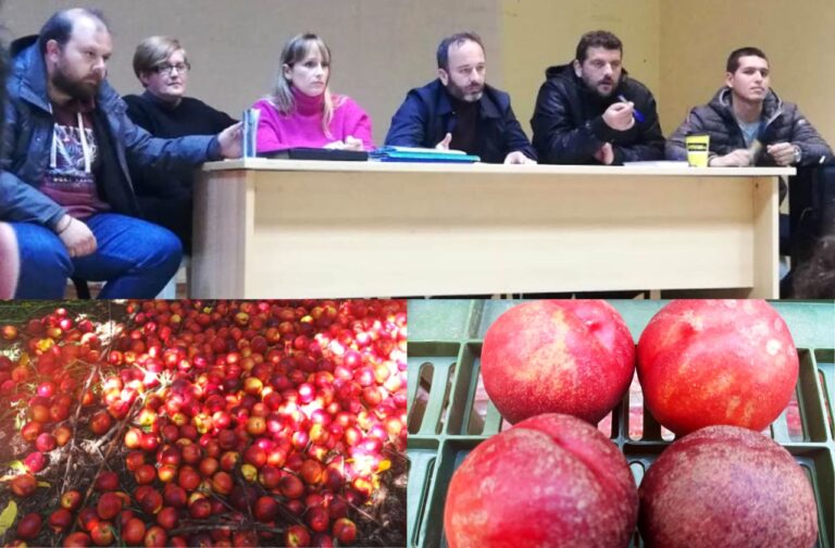 Αποζημιώσεις ζητούν οι ροδακινοπαραγωγοί Ημαθίας για ζημιές από τις βροχοπτώσεις