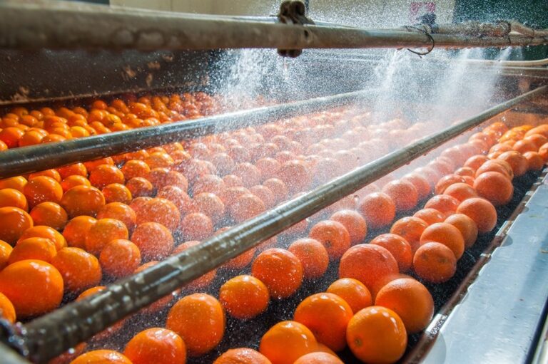 ΔΕΣΑ: «Οι βιομηχανίες επέβαλαν τιμή 0,20 €/kg στα πορτοκάλια χυμοποίησης»