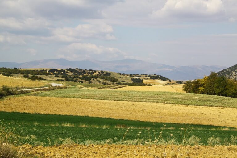Nέα εγκύκλιος για δασωμένους αγρούς