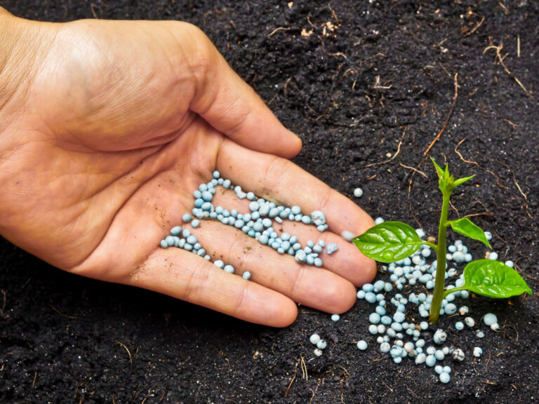 Eurostat: Μείωση στη χρήση λιπασμάτων στη γεωργία της ΕΕ