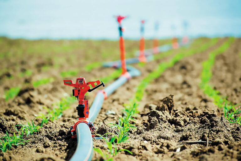 Τεράστια ανησυχία για την έλλειψη νερού άρδευσης στην Καστοριά