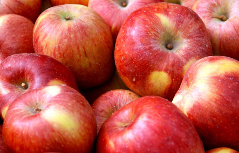 <strong>Μήλα: Βάσει του σχεδίου προχωρούν οι ιταλικές εξαγωγές</strong>