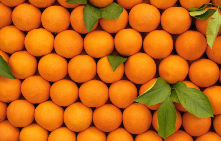 Μεγάλη πίεση στα ελληνικά και τα ισπανικά πορτοκάλια από την Αίγυπτο