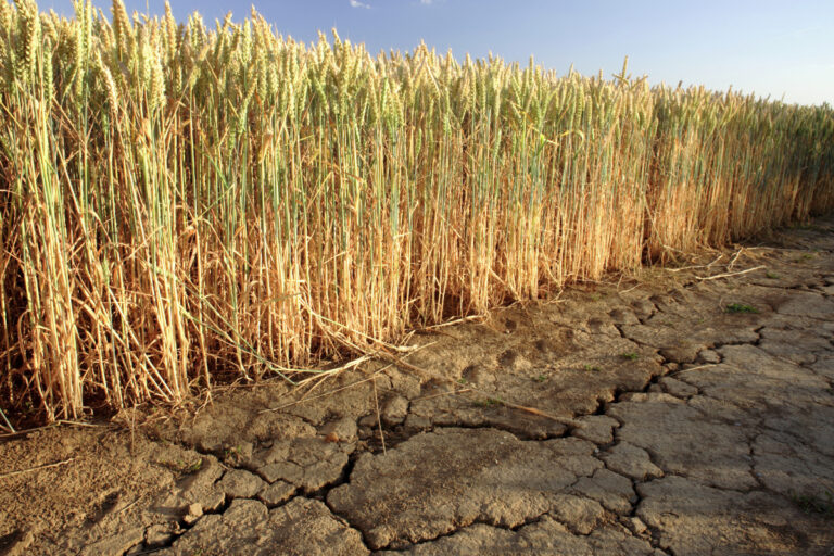 Επείγουσα συνάντηση για την αντιμετώπιση της ξηρασίας στη Δυτική Αχαΐα