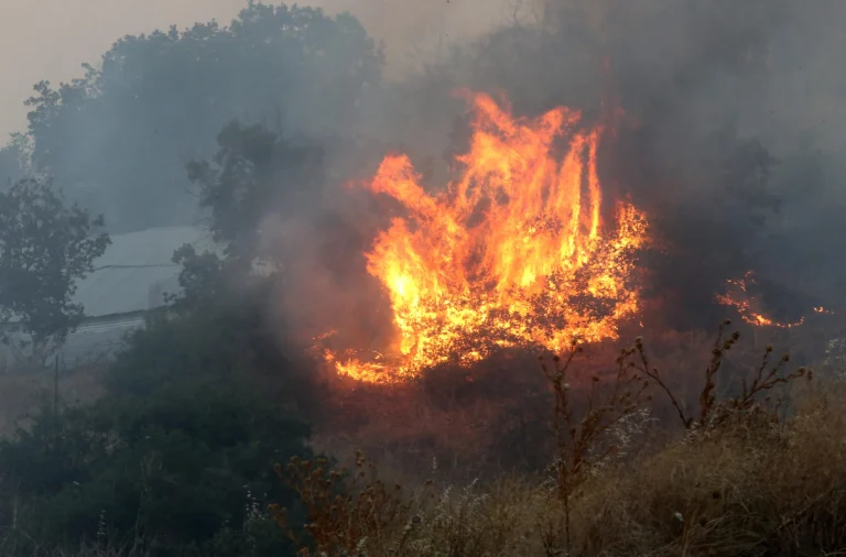 ΓΕΩΤΕΕ Έβρου: Κατατέθηκε το Πόρισμα της Επιτροπής για τις πυρκαγιές