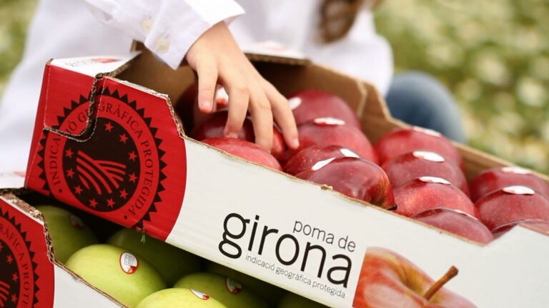 Μήλα – Ισπανία: 90.000 τόνοι αναμένονται για τα μήλα ΠΓΕ Poma De Girona