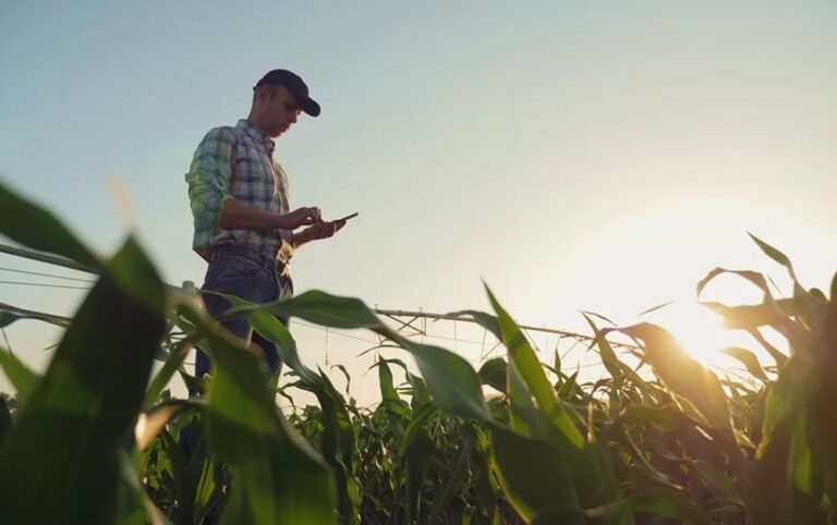 Νέοι αγρότες: Η νέα βαθμολογία της επερχόμενης πρόσκλησης
