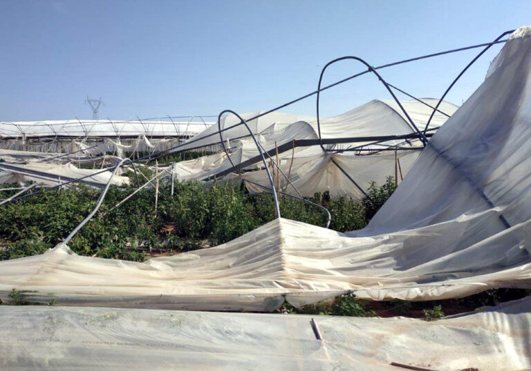 Σύλλογος Γεωπόνων Πρέβεζας: Τέλμα στις αποζημιώσεις των θερμοκηπίων για τις θεομηνίες