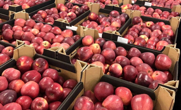 Αυγενάκης: Εξετάζεται το αίτημα παραγωγών – εξαγωγέων μήλων για αποζημιώσεις λόγω Σουέζ