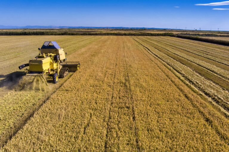 ΟΠΕΚΕΠΕ: «Συνεχίζονται οι διαδικασίες για τις συνδεδεμένες ώστε οι δικαιούχοι να λάβουν τα ποσά που δικαιούνται»