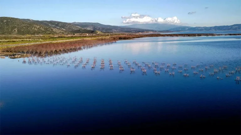 Πιστώθηκαν τα 43 εκατ. ευρώ σε 2.288 παραγωγούς των παρακάρλιων περιοχών που επλήγησαν από φυσικές καταστροφές το 2023