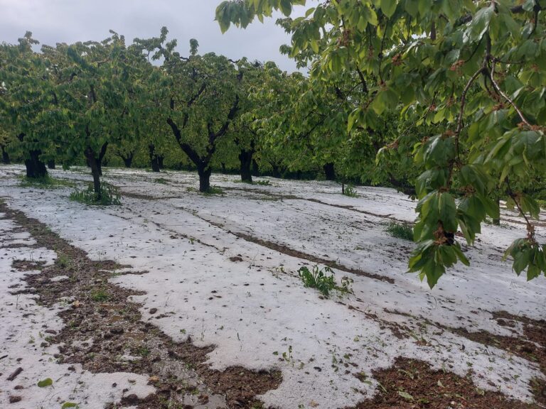 Χαλάζια σε καλλιέργειες σε Πέλλα και Φλώρινα – Ακολούθησαν πλημμύρες στην Πέλλα