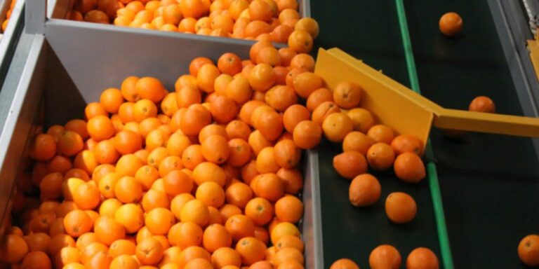 Εντείνονται οι έλεγχοι στα σύνορα με τη Βουλγαρία για τα φορτία με τα εσπεριδοειδή!