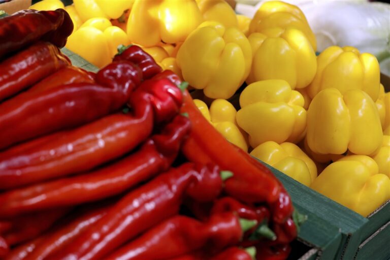 Νέα απαγόρευση εισόδου ισπανικών πιπεριών από τις Η.Π.Α.