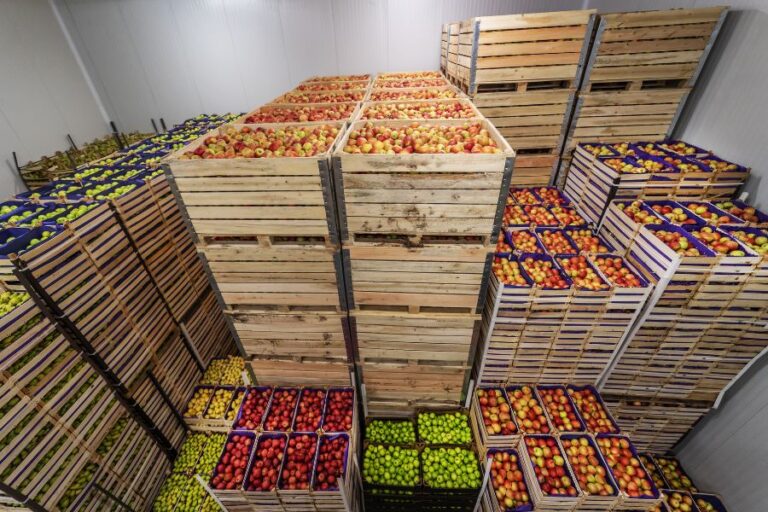 Ισπανία: Αυξημένες οι εισαγωγές φρούτων και λαχανικών από ευρωπαϊκές χώρες