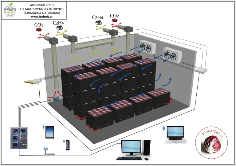 H ISOFRUIT παραθέτει συμβουλές για την μακροχρόνια συντήρηση των ραντίτσιο