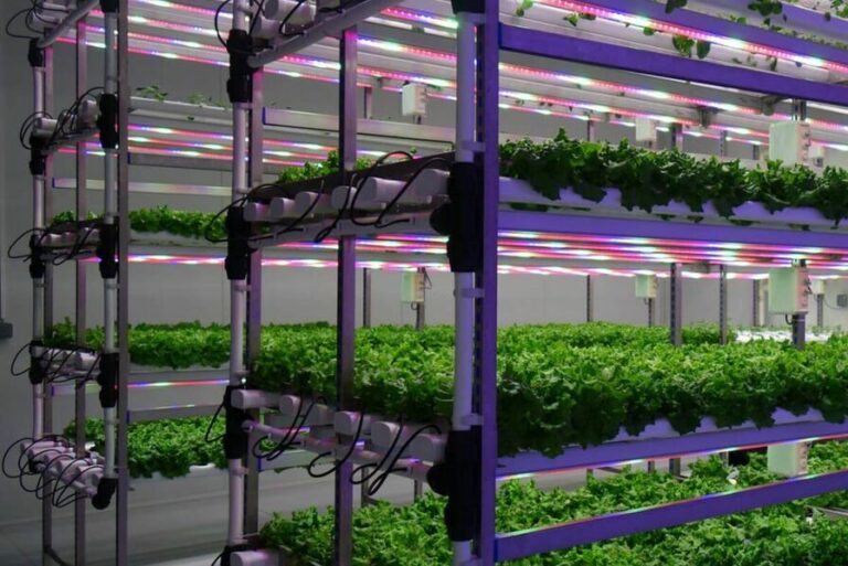 Bayer και Kimitec ενώνουν τις δυνάμεις τους για την ανάπτυξη βιολογικών προϊόντων νέας γενιάς