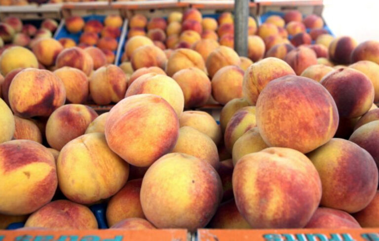Incofruit Hellas: Παρέμβαση για παράνομη διακίνηση ελληνικών φρούτων   