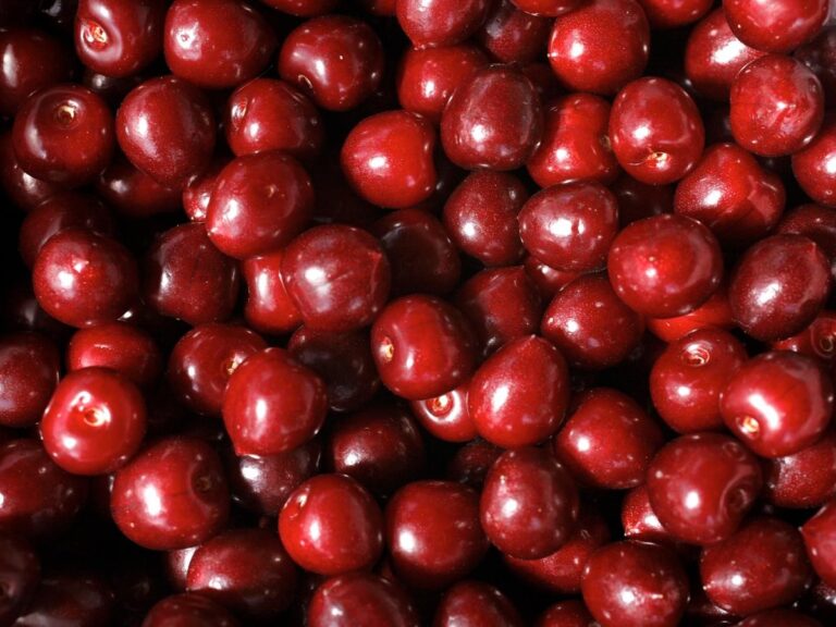 Στη βρετανική αγορά και πάλι το ισπανικό κεράσι ποικιλίας «Picota»