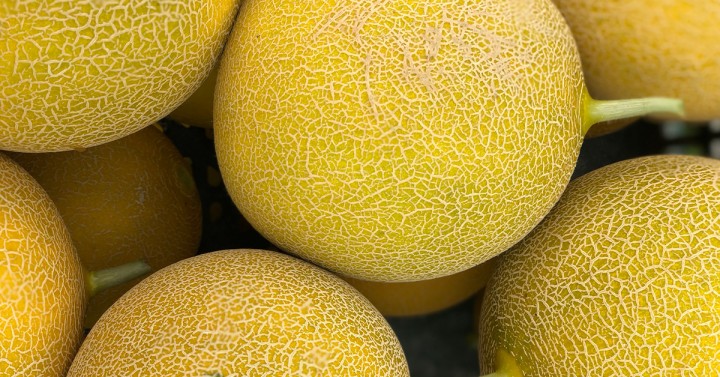 Ιταλία: Με καλούς ρυθμούς βαίνει η νέα σεζόν πεπονιού