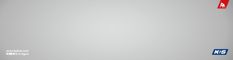 spot_img