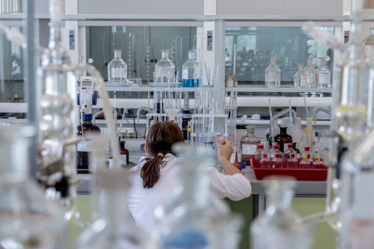 Επιστημονική αριστεία και καινοτομία σε τρόφιμα και ζωοτροφές μέσω του έργου MARMADE