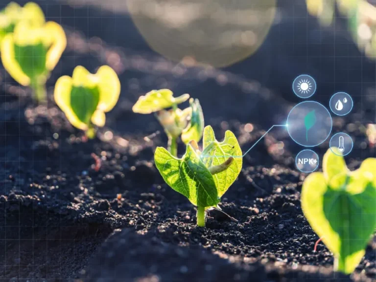 Syngenta & Heritable: Πιο αποδοτικές ποικιλίες με την χρήση τεχνητής νοημοσύνης