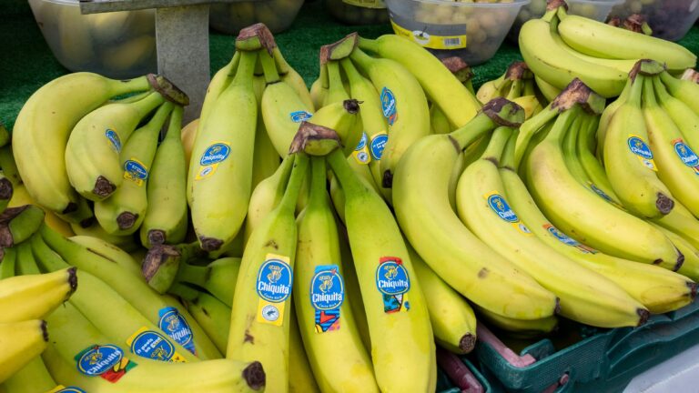 Chiquita: Τη πρώτη πιλοτική μονάδα βιολογικών μπανανών δημιουργεί στη Σικελία