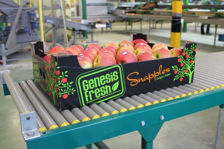 Ισορροπημένος όγκος και καλή ποιότητα για τα πολωνικά μήλα 