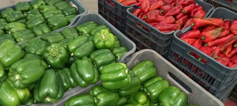 Πιπεριές: Είναι καλές, αλλά μήπως έχουν μείνει στάσιμες;