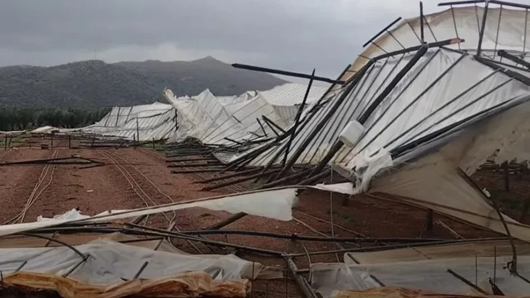 Σοβαρές καταστροφές σε θερμοκήπια στην Ιεράπετρα