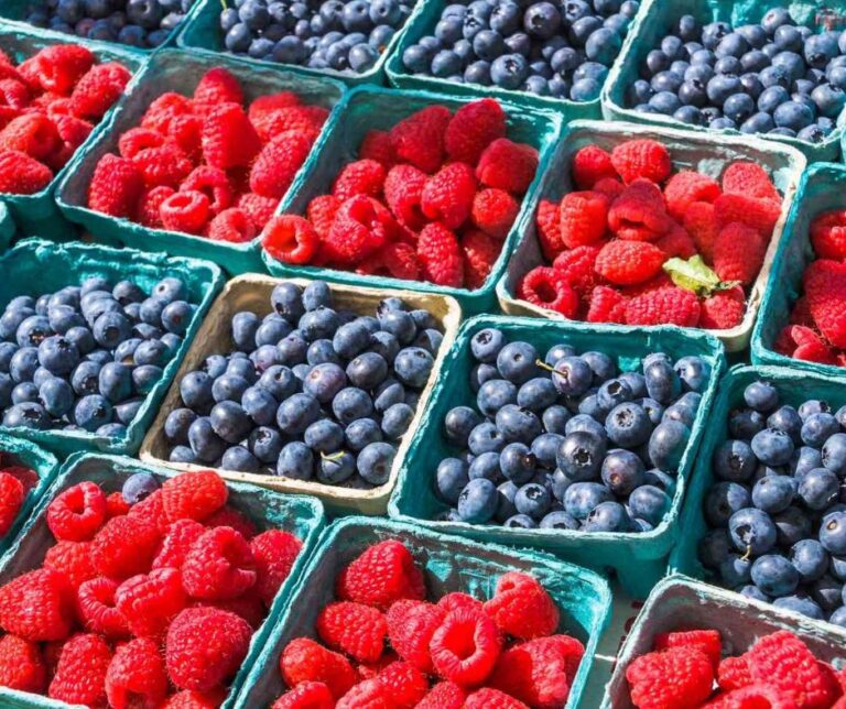 Berries: Με χαμηλό προφίλ, αλλά με το βλέμμα ψηλά