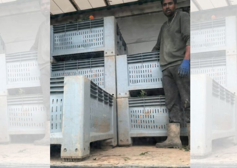 Μπλοκαρίστηκαν στο λιμάνι της Ηγουμενίτσας φορτηγά με παράτυπο φορτίο πορτοκαλιών για Ιταλία