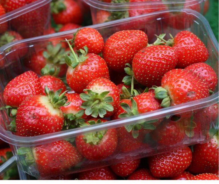 Φράουλες – Eυρώπη: Μείωση 13% στην παραγωγή την τελευταία δεκαετία