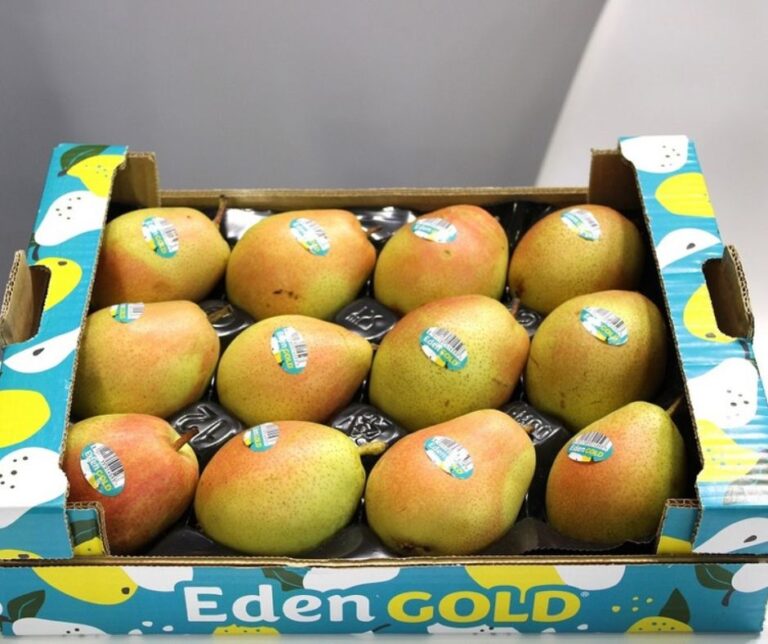Eden Gold: Δυναμική ανάπτυξη και επέκταση στην Ευρώπη