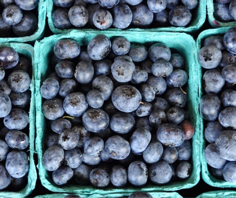 Isofruit: Η άμεση πρόταξη στα blueberries δρα ευεργετικά στην ποιότητα τους