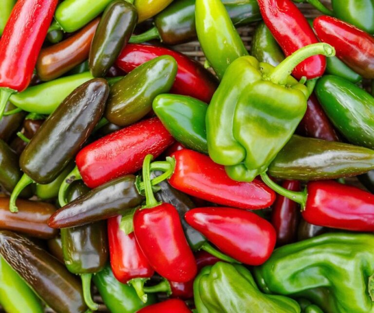 Πρόωρη ολοκλήρωση της σεζόν πιπεριάς στη Σικελία