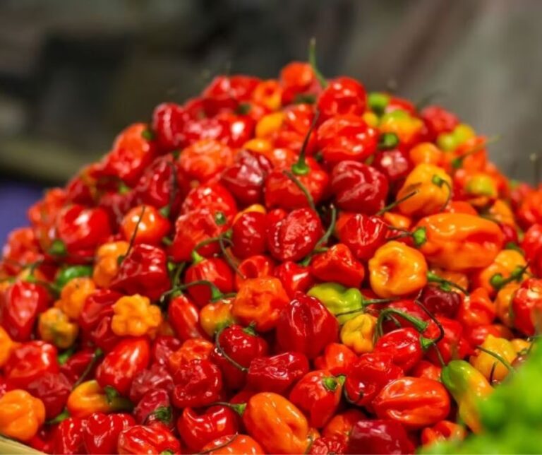 Ειδήσεις από την διεθνή αγορά πιπεριάς