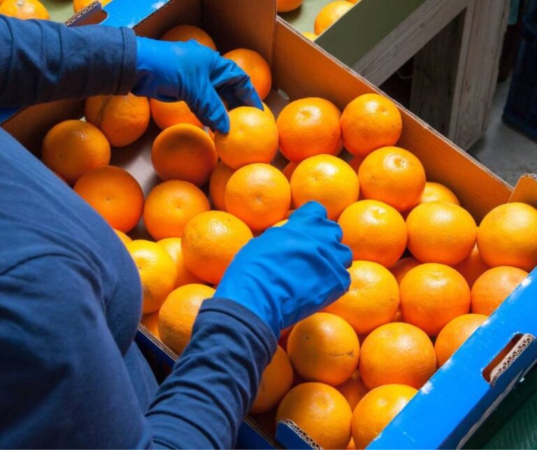 Ισπανία: Δυναμική επιστροφή της Intercitrus στις διεθνείς αγορές μετά από 18 χρόνια