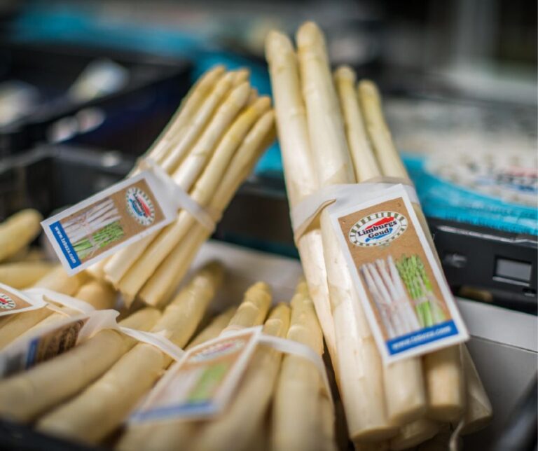 Σπαράγγια – Ολλανδία: Ξεκίνησαν αργά σε μια ανυπόμονη αγορά