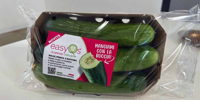 EasyQs: Το νέο snack αγγουριού που δίνει λύση στην anti-waste κουλτούρα