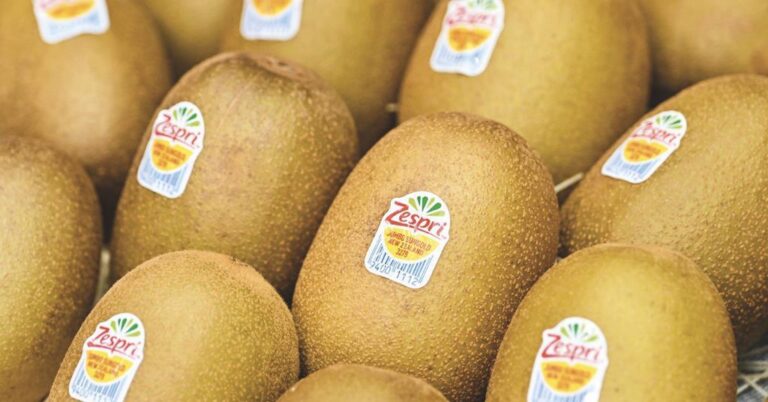 Zespri: Ρεκόρ παραγωγής για τα SunGold στο Βόρειο Ημισφαίριο