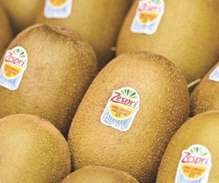 Αύξηση 16% για την παραγωγή του ακτινιδίου SunGold στο Βόρειο Ημισφαίριο